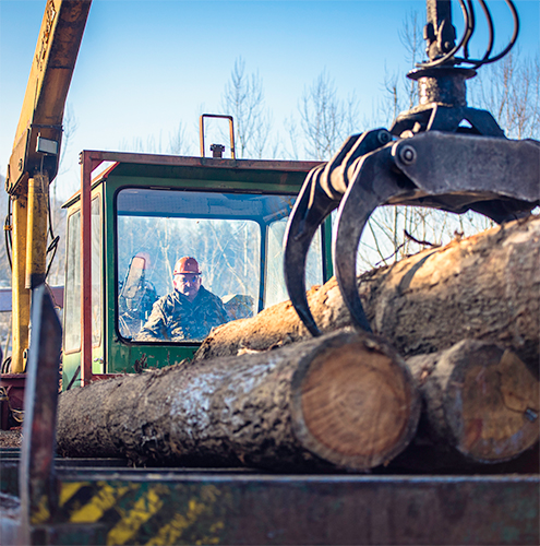 Forestry Equipment Showcase